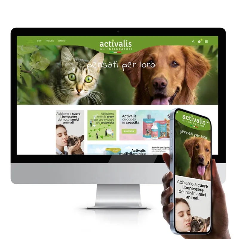 E-commerce Activalis