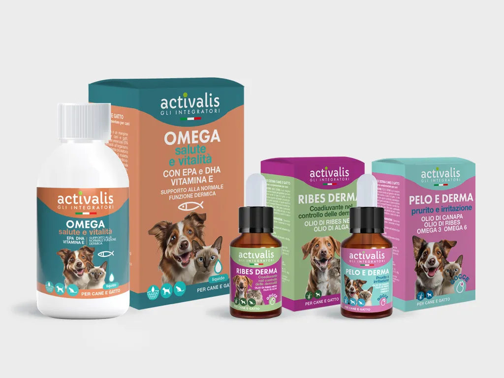 Packaging Activalis
